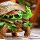 Illustration for article titled Man Tries to Sneak Turtle onto Plane Disguised as Hamburger